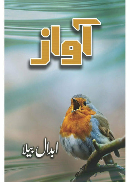 Awaz - Abdaal Bela By  Abdaal Bela