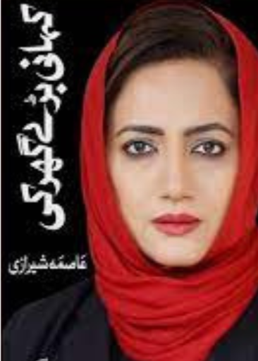 Kahani Bary Ghar Kii / Asma Sherazi