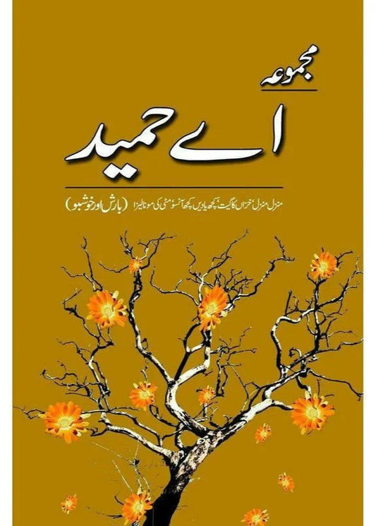 Majmua A Hameed: Manzil Manzil - مجموعہ اے حمید