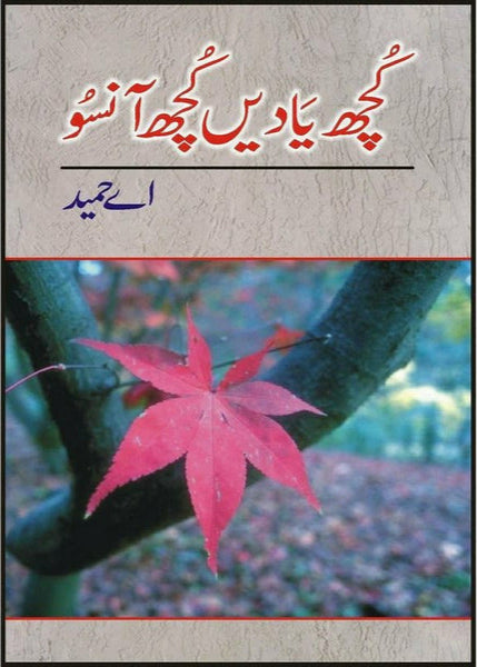 Kutchh Yaadain Kutchh Aansoo by A Hameed