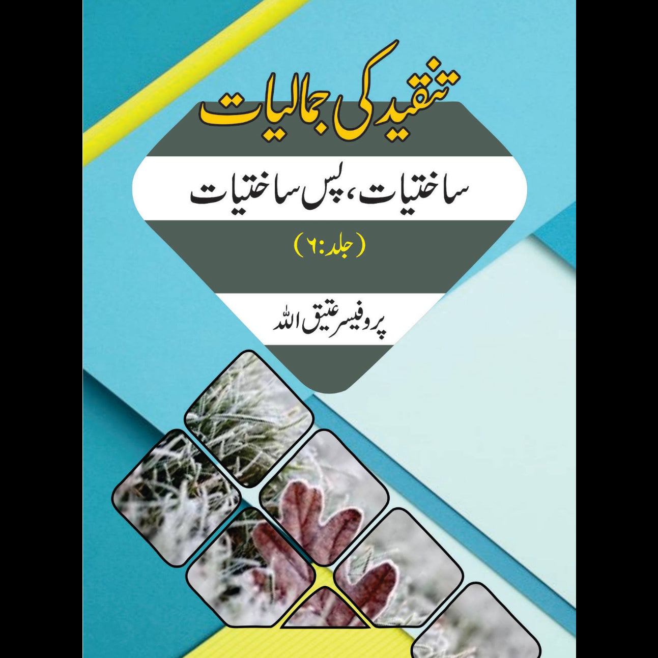 تنقید کی جمالیات 6