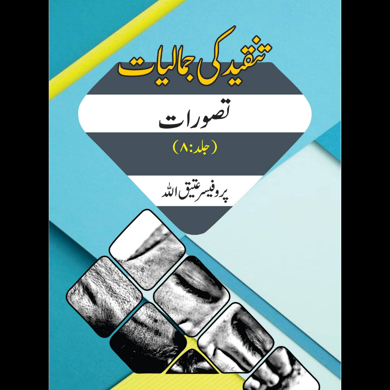 تنقید کی جمالیات 8