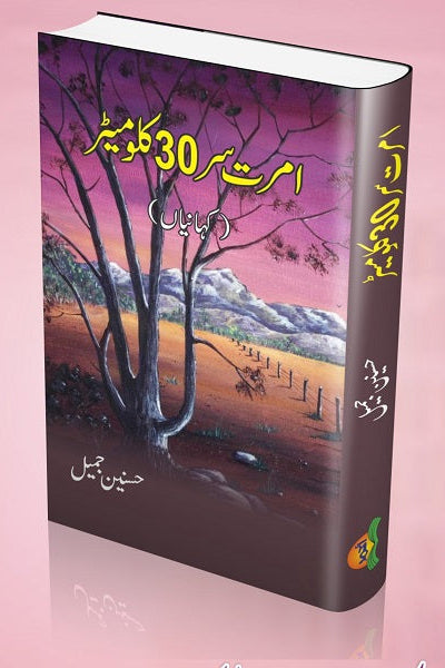 Amratsar-30 kilometer
امرتسر- 30کلومیٹر by Author 
حسنین جمیل