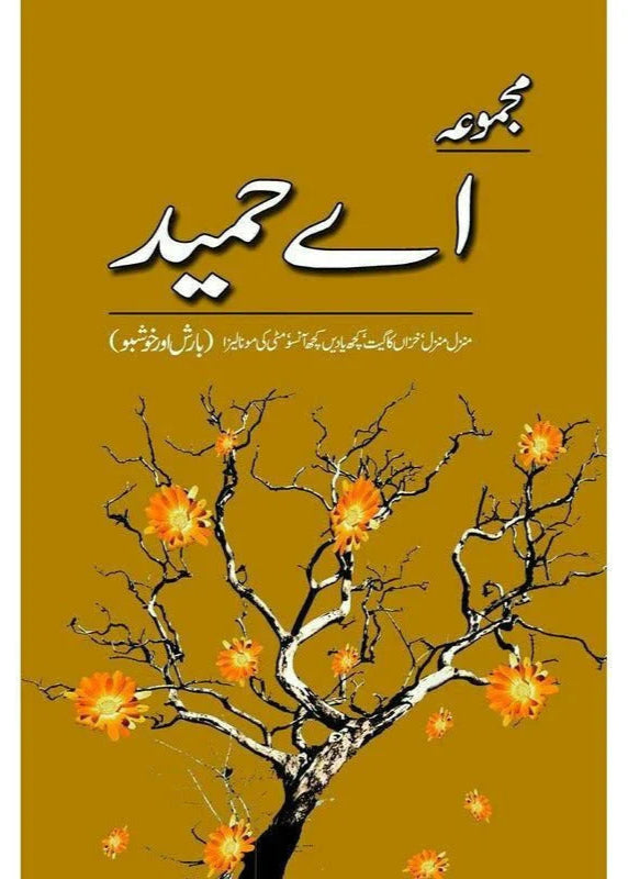 Majmua A Hameed: Manzil Manzil - مجموعہ اے حمید