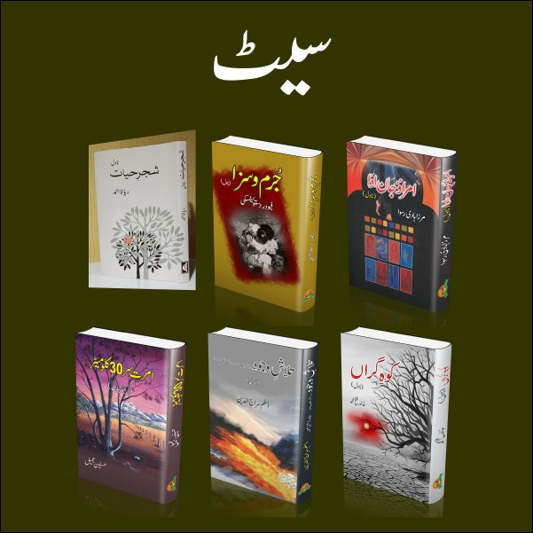 Behtreen Navols ka Set
بہترین ناولوں کا سیٹ by