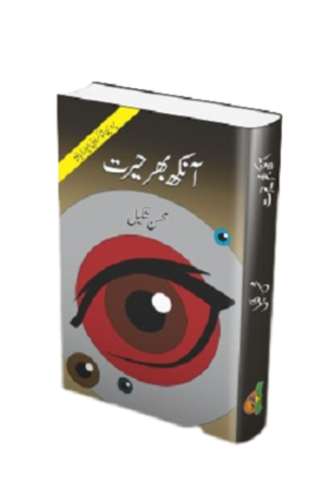 Aankh bhar Hairat
آنکھ بھر حیرت by   
محسن شکیل
