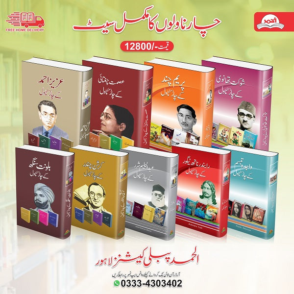 Namwar Novol aur Afsana Nigaron ki Kutab ka Set
نامور ناول اور افسانہ نگاروں کی کتب کا سیٹ by Mix