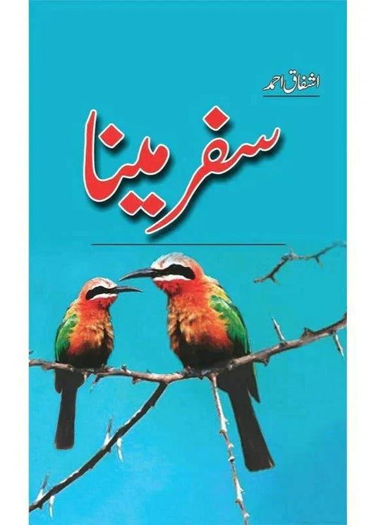 Safar-e-Maina /Ashfaq Ahmad